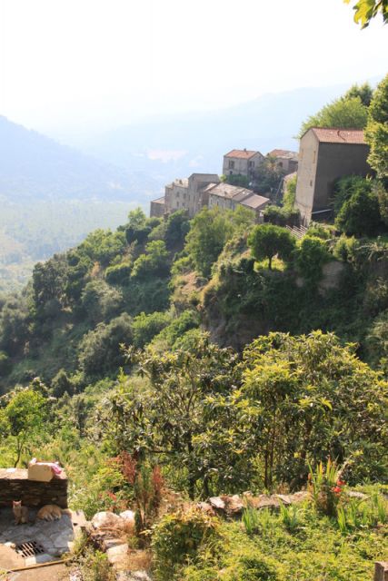 2010 07 02 jeanmarcperfetti.com 001.JPG